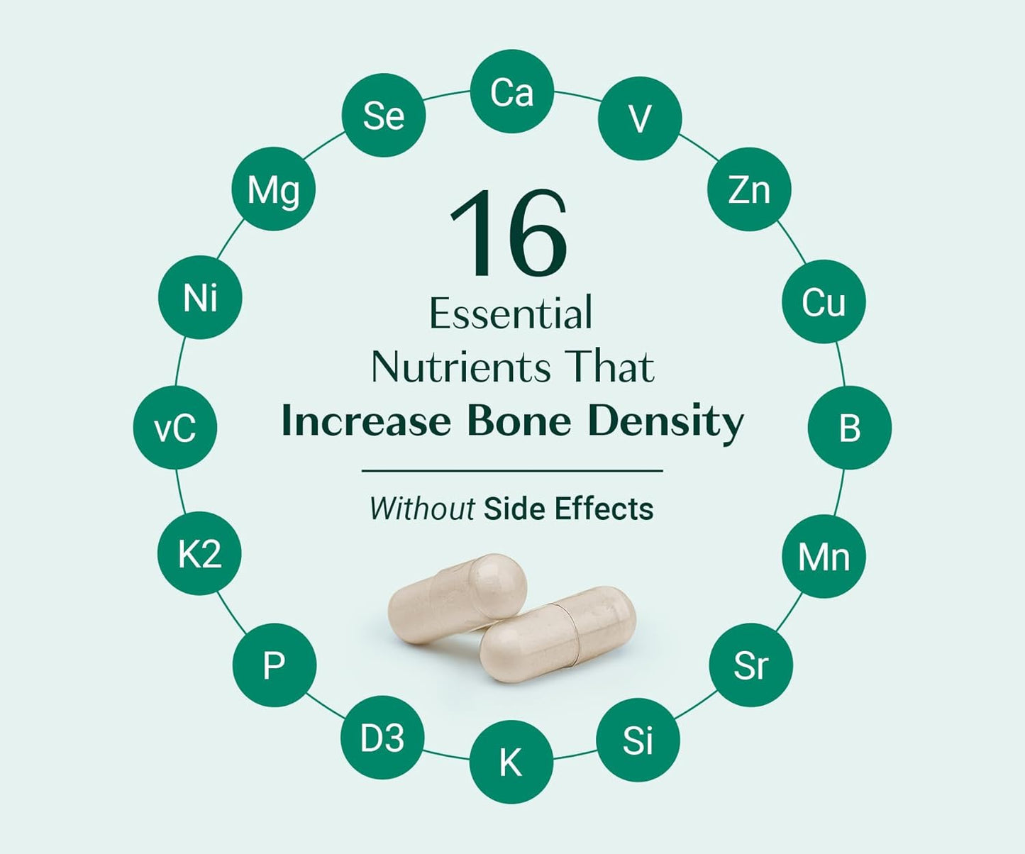 ALGAECAL Organic Red Algae Calcium Supplement for Bone Density