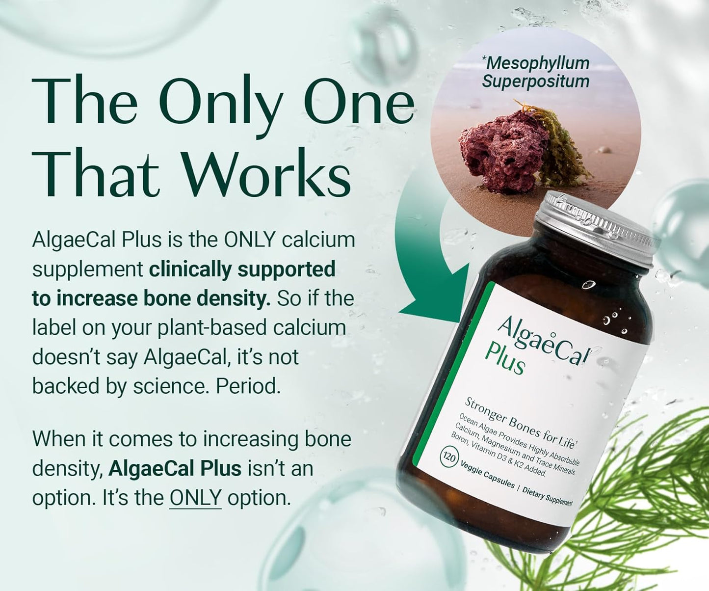 ALGAECAL Organic Red Algae Calcium Supplement for Bone Density