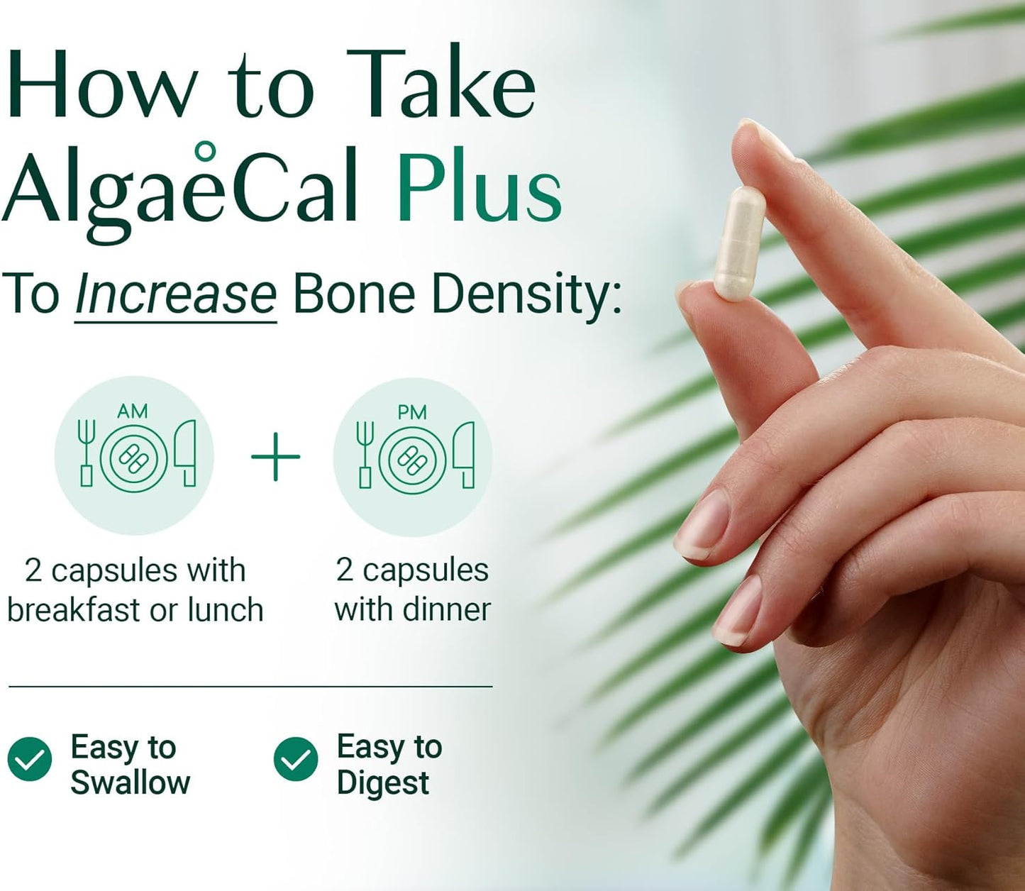 ALGAECAL Organic Red Algae Calcium Supplement for Bone Density