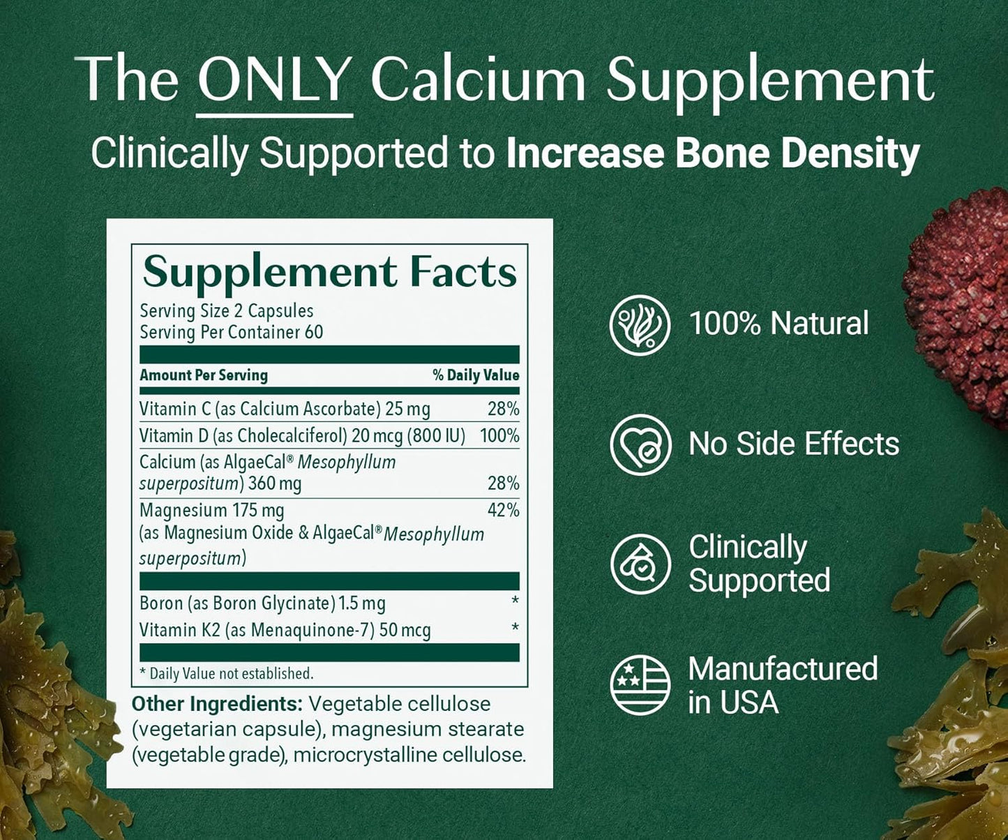 ALGAECAL Organic Red Algae Calcium Supplement for Bone Density
